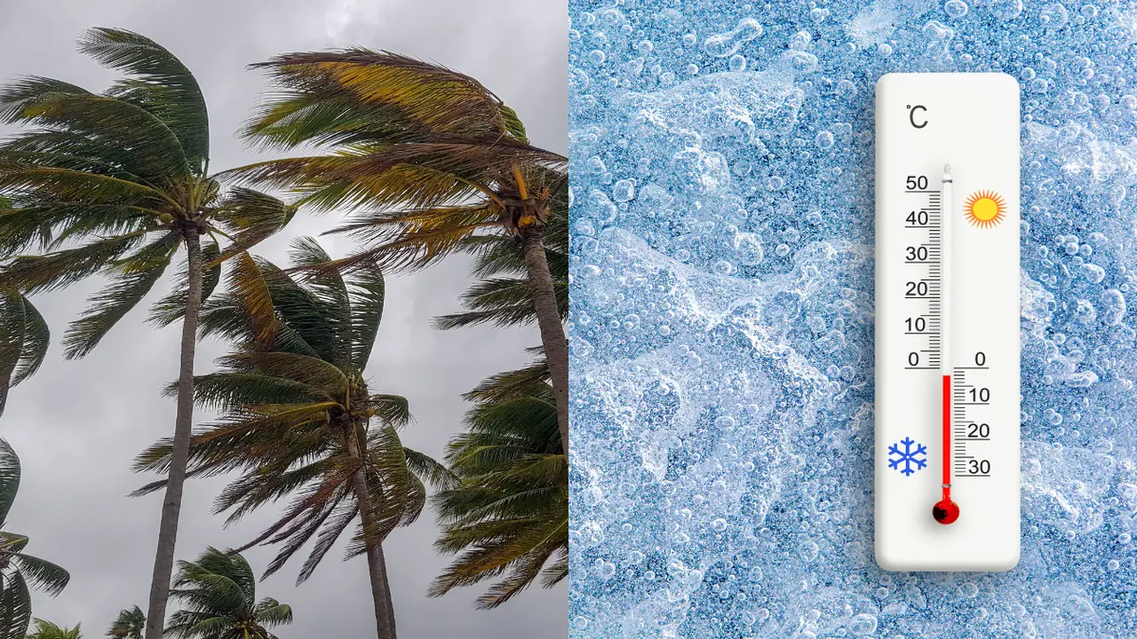 طقس بارد وزوابع رملية تشمل عدة مناطق بالمملكة اليوم الاثنين وغدا الثلاثاء